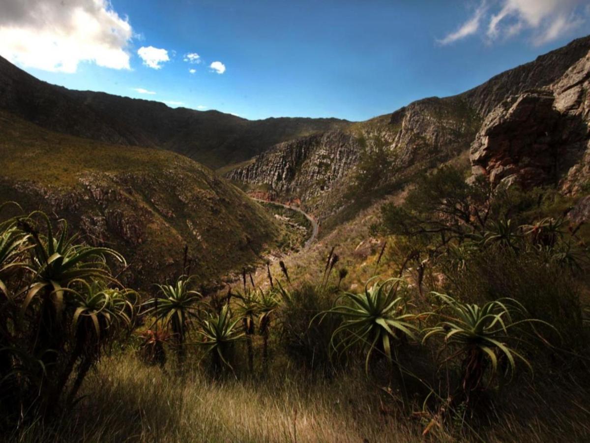 Karoo Art Hotel Barrydale Kültér fotó
