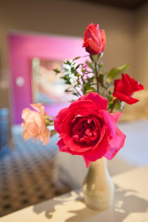 Karoo Art Hotel Barrydale Kültér fotó